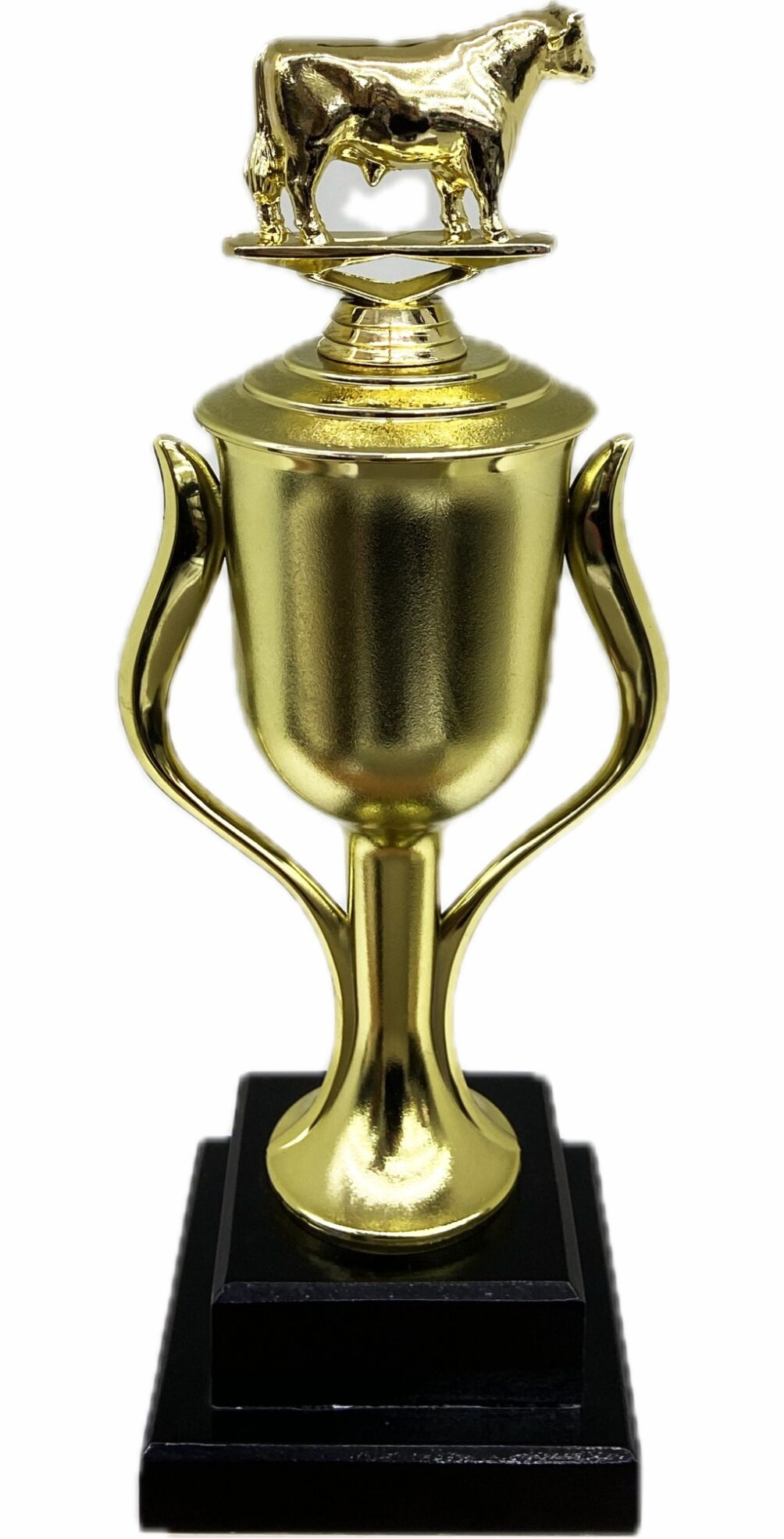 Dairy Bull Trophy 355mm