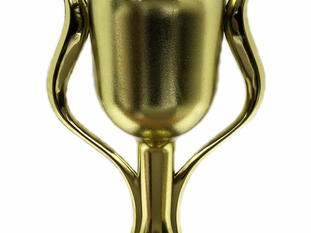 Dairy Bull Trophy 355mm