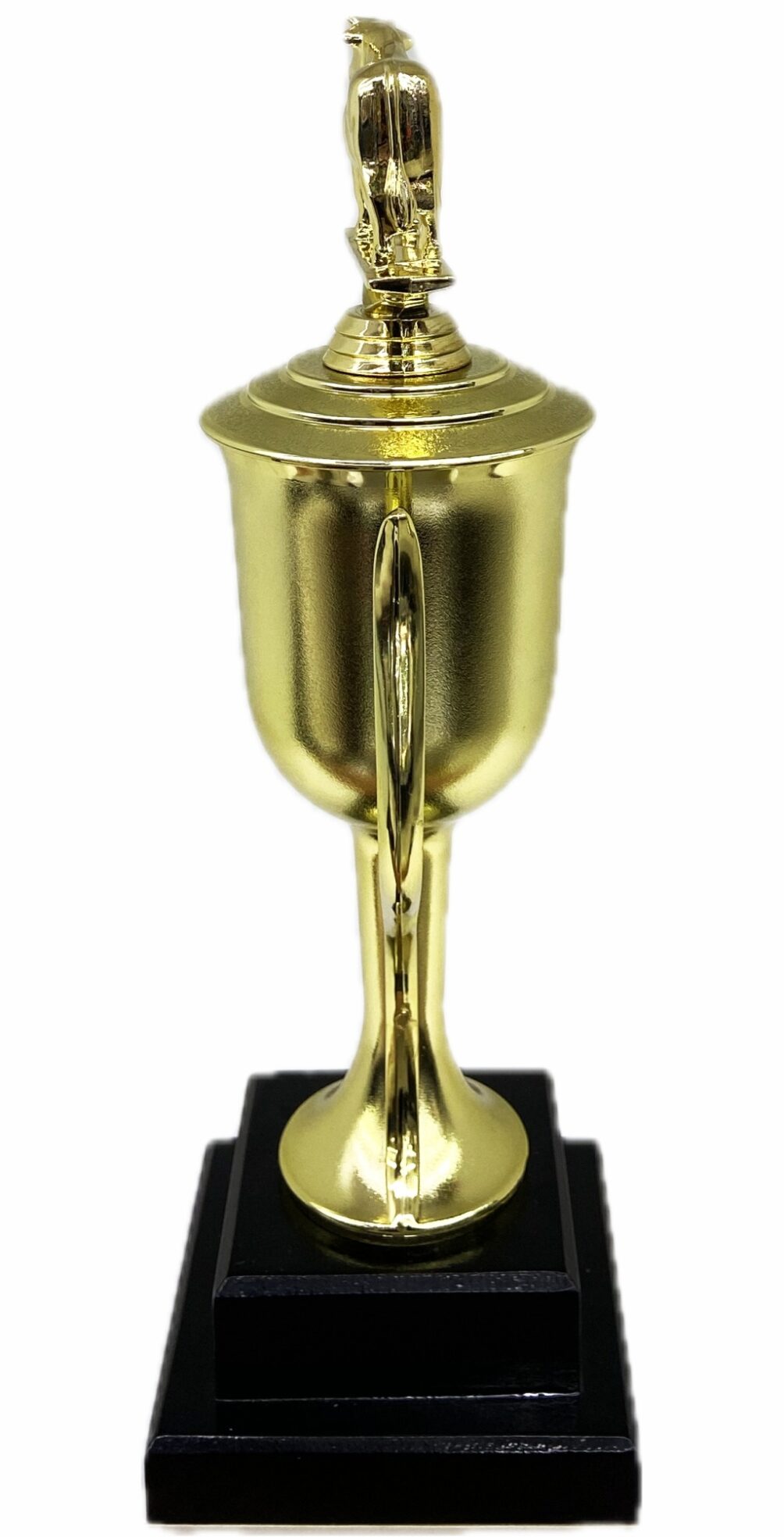 Dairy Bull Trophy 355mm