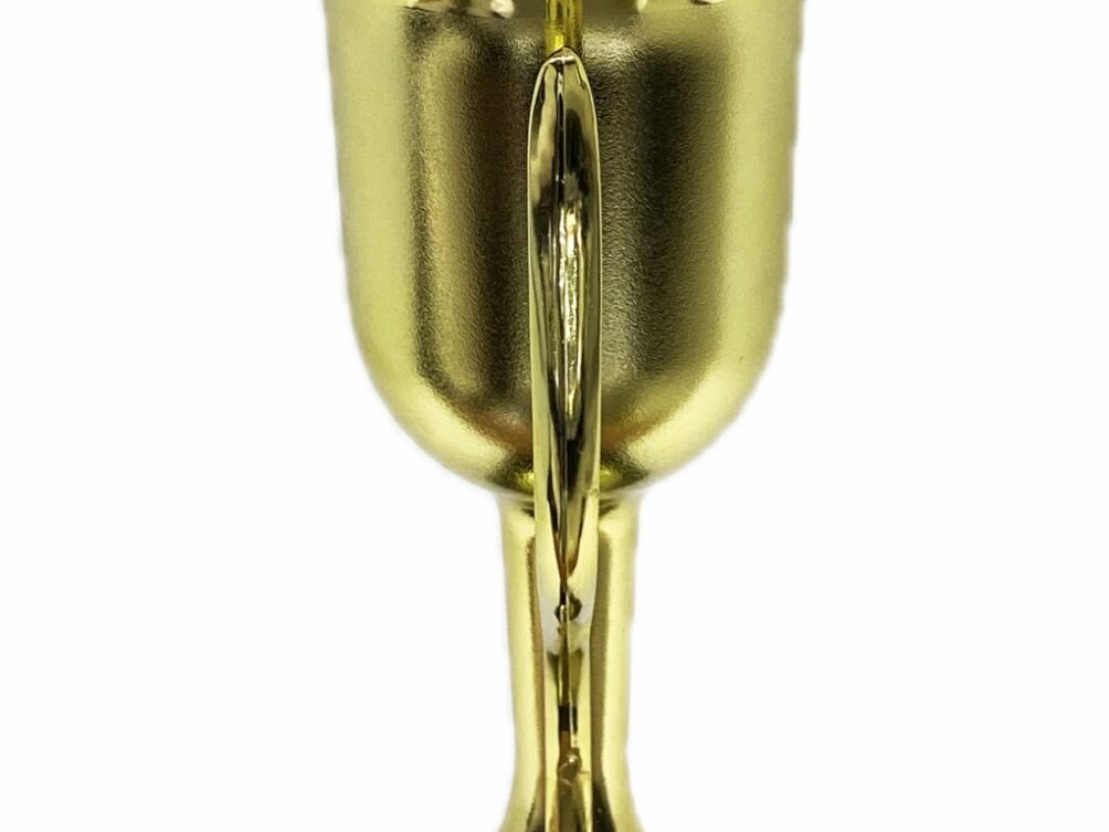 Dairy Bull Trophy 355mm