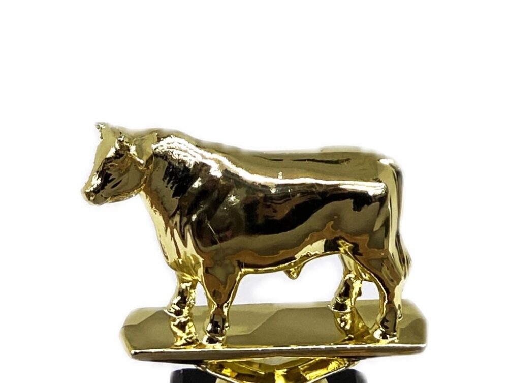 Dairy Bull Trophy 125mm