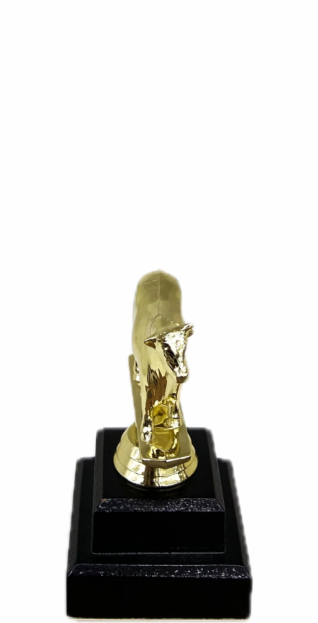Dairy Bull Trophy 125mm