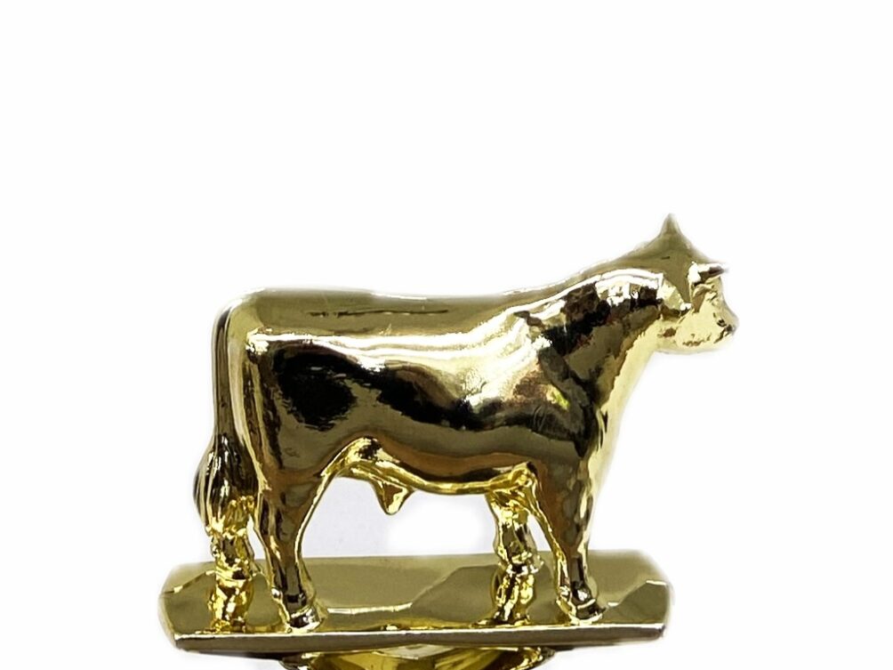 Dairy Bull Trophy 125mm