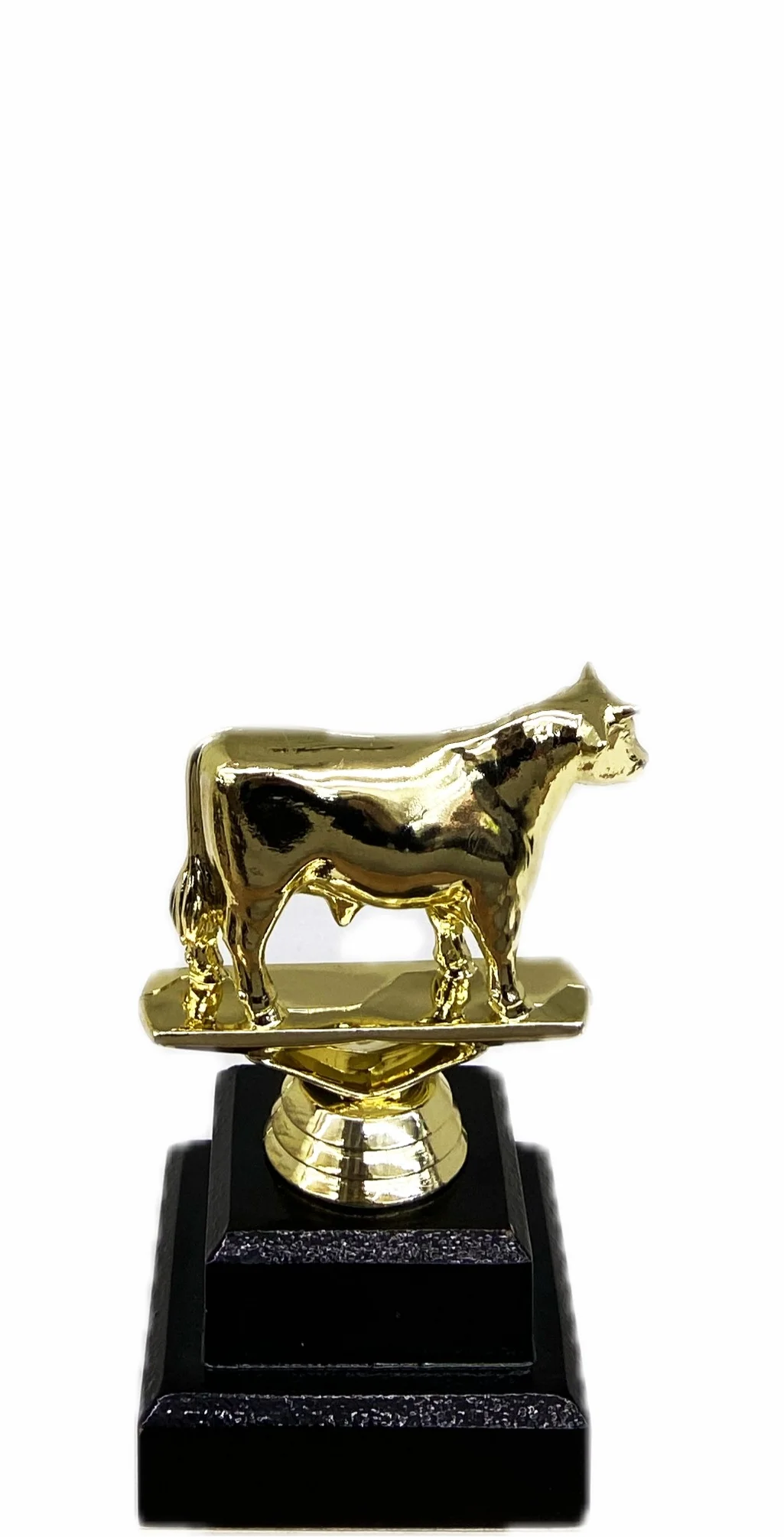 Dairy Bull Trophy 125mm
