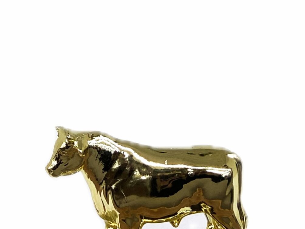 Dairy Bull Trophy 100mm