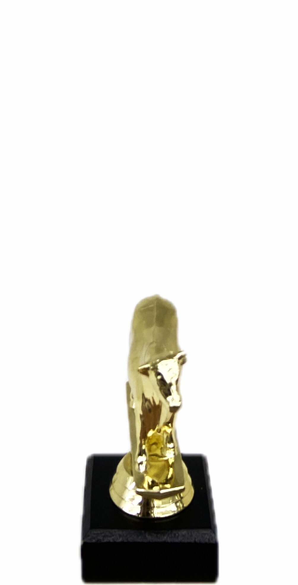 Dairy Bull Trophy 100mm