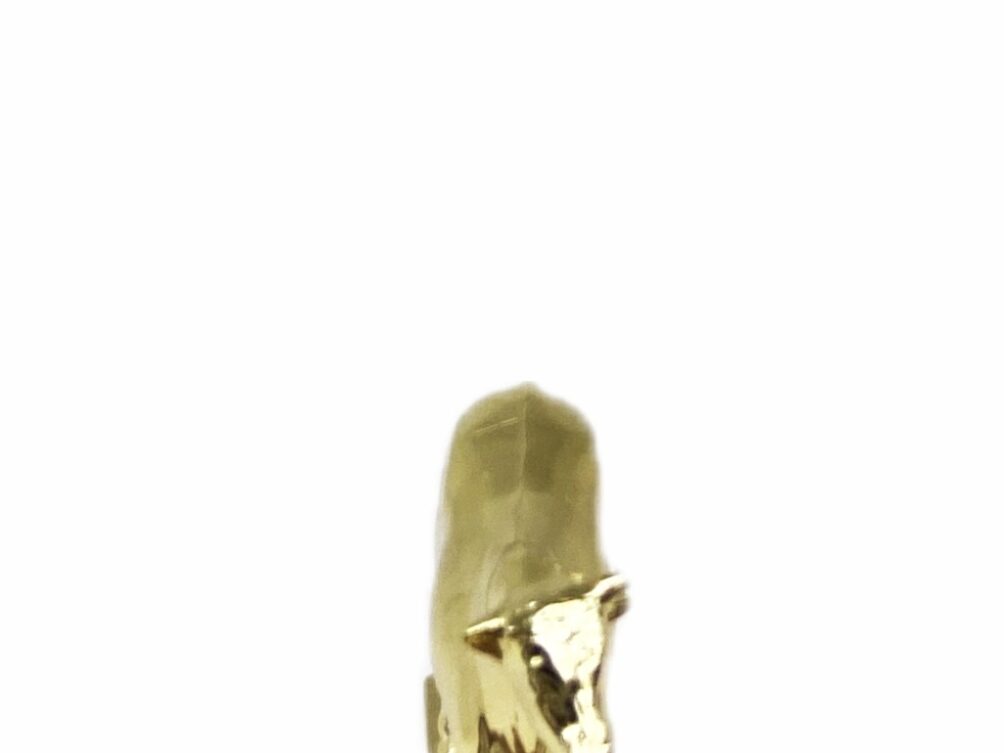 Dairy Bull Trophy 100mm