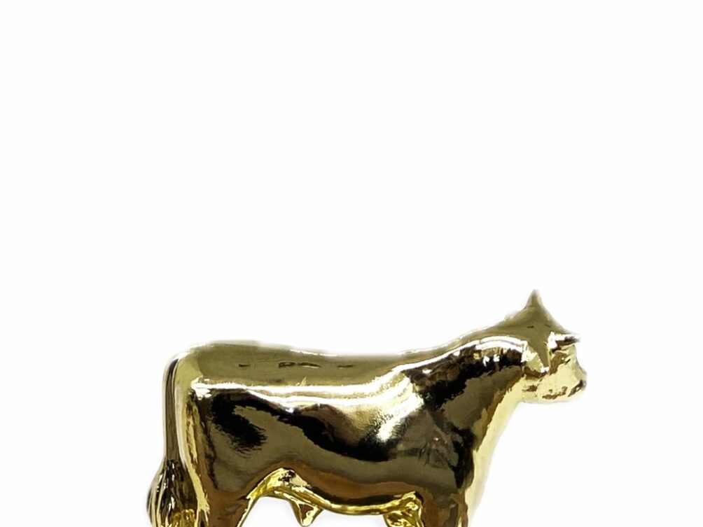 Dairy Bull Trophy 100mm