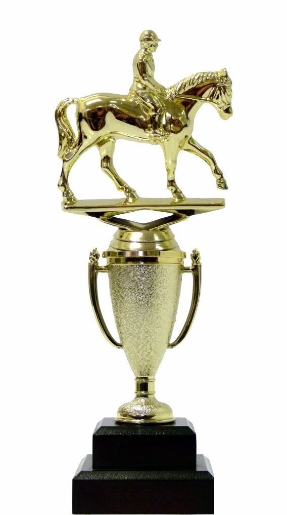 Horse Equestrian Trophy 255mm