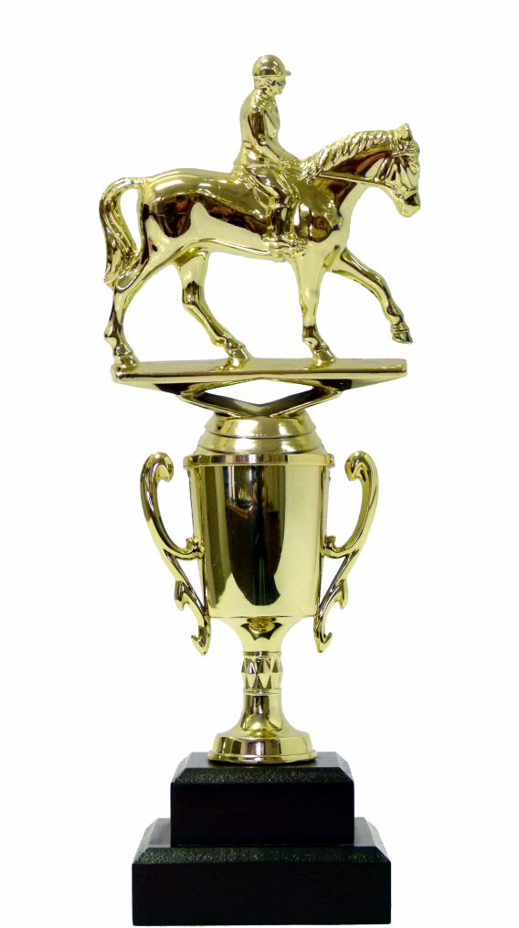 Horse Equestrian Trophy 255mm