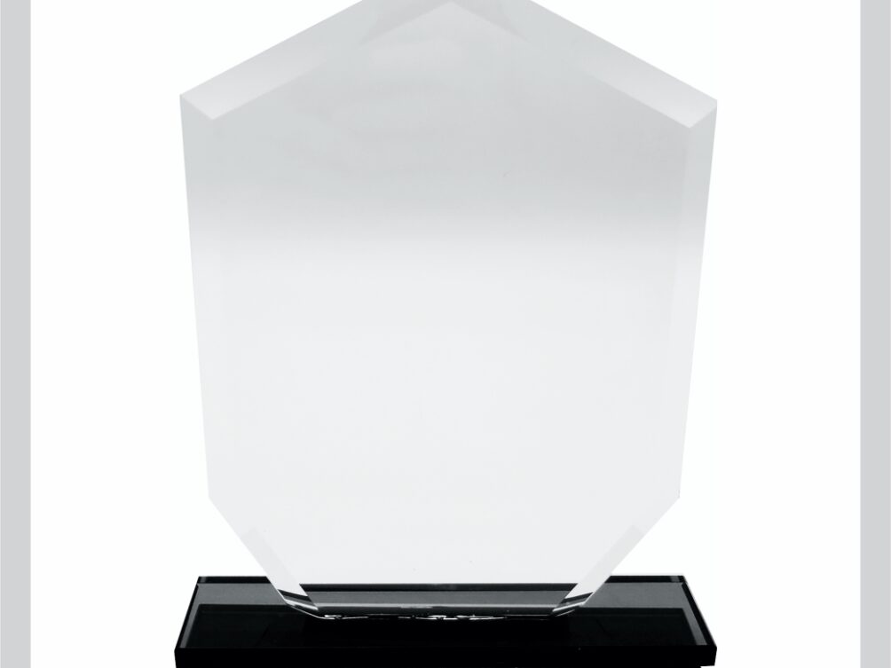 Glass Trophy 240mm 10MM THICK