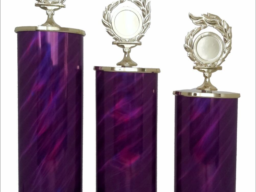 Budget Trophy (Set Of 3)
