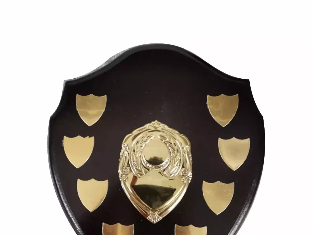 Wooden Shield With Trimming 255mm