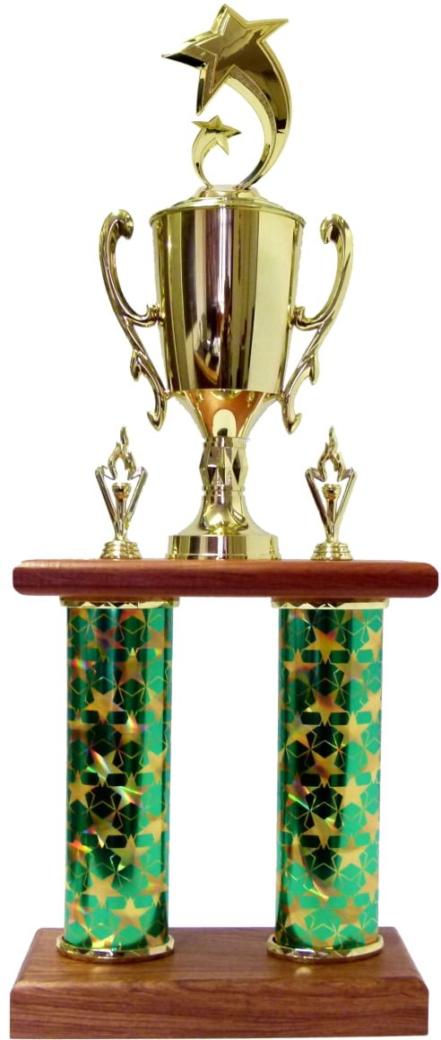 Shooting Star Column Trophy 690mm