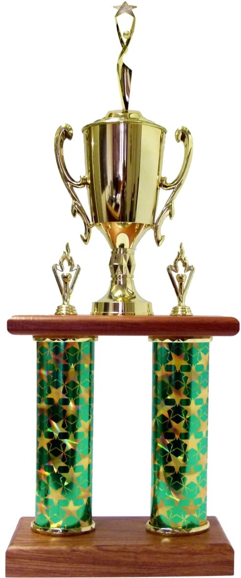 Reach For The Stars Column Trophy 700mm