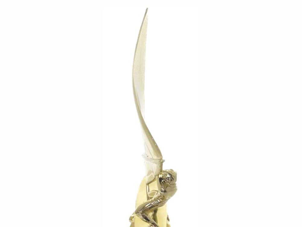 Wind Surfer Trophy 290mm