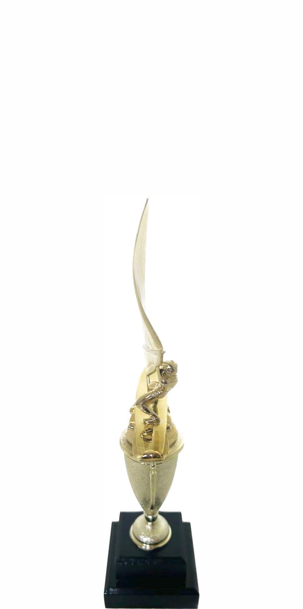 Wind Surfer Trophy 290mm