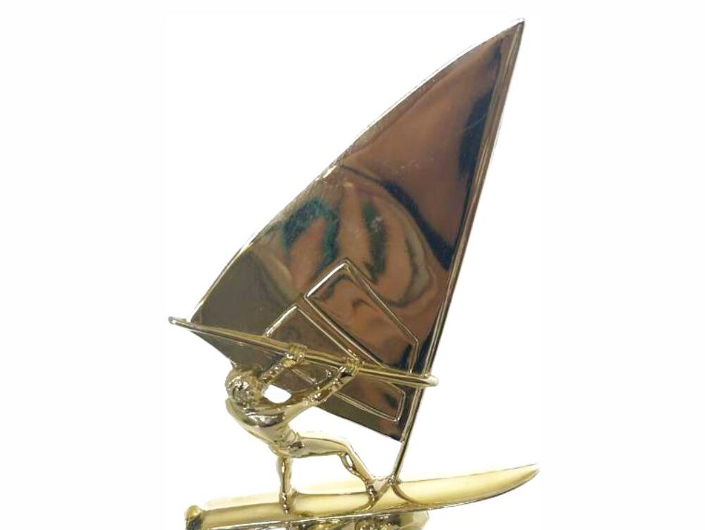 Wind Surfer Trophy 290mm