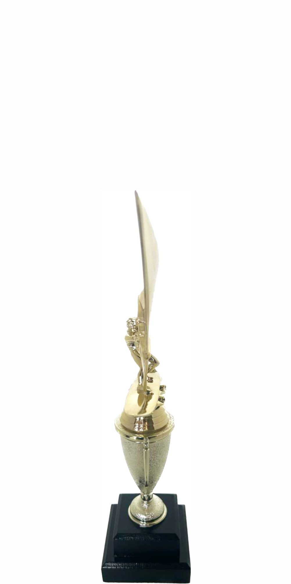 Wind Surfer Trophy 290mm