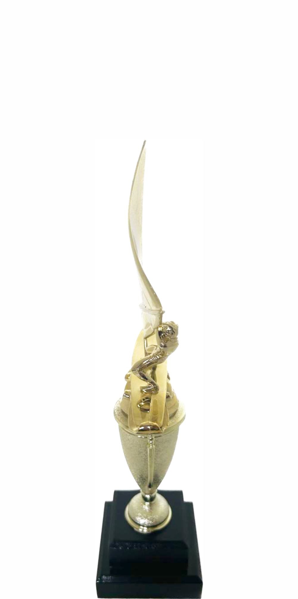 Wind Surfer Trophy 310mm