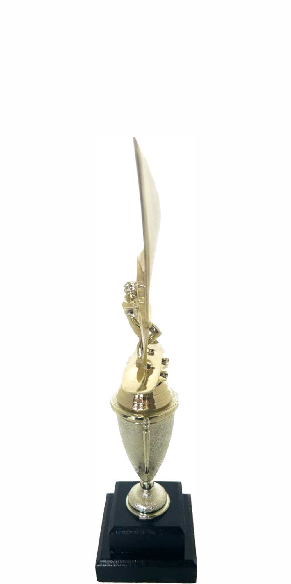 Wind Surfer Trophy 310mm