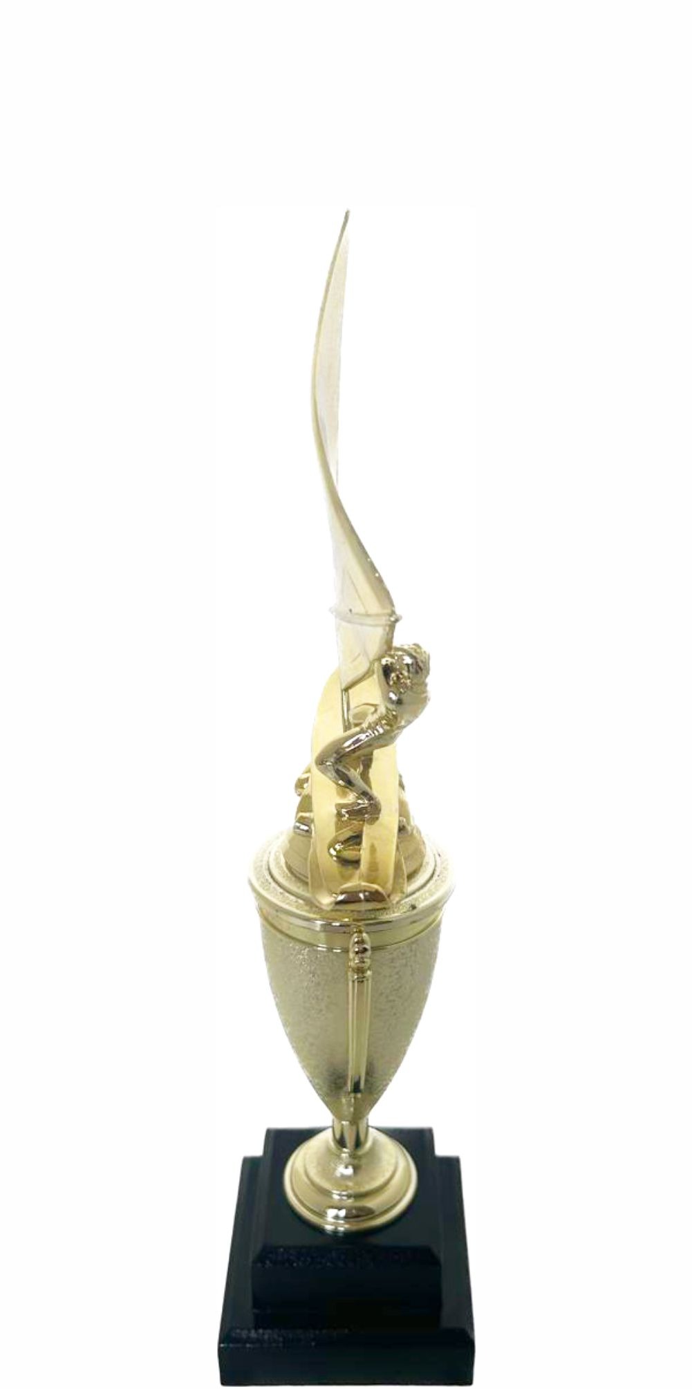 Wind Surfer Trophy 350mm