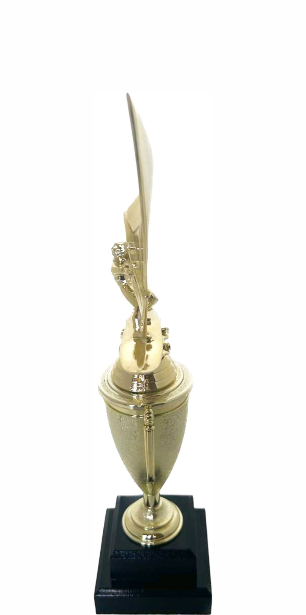 Wind Surfer Trophy 350mm