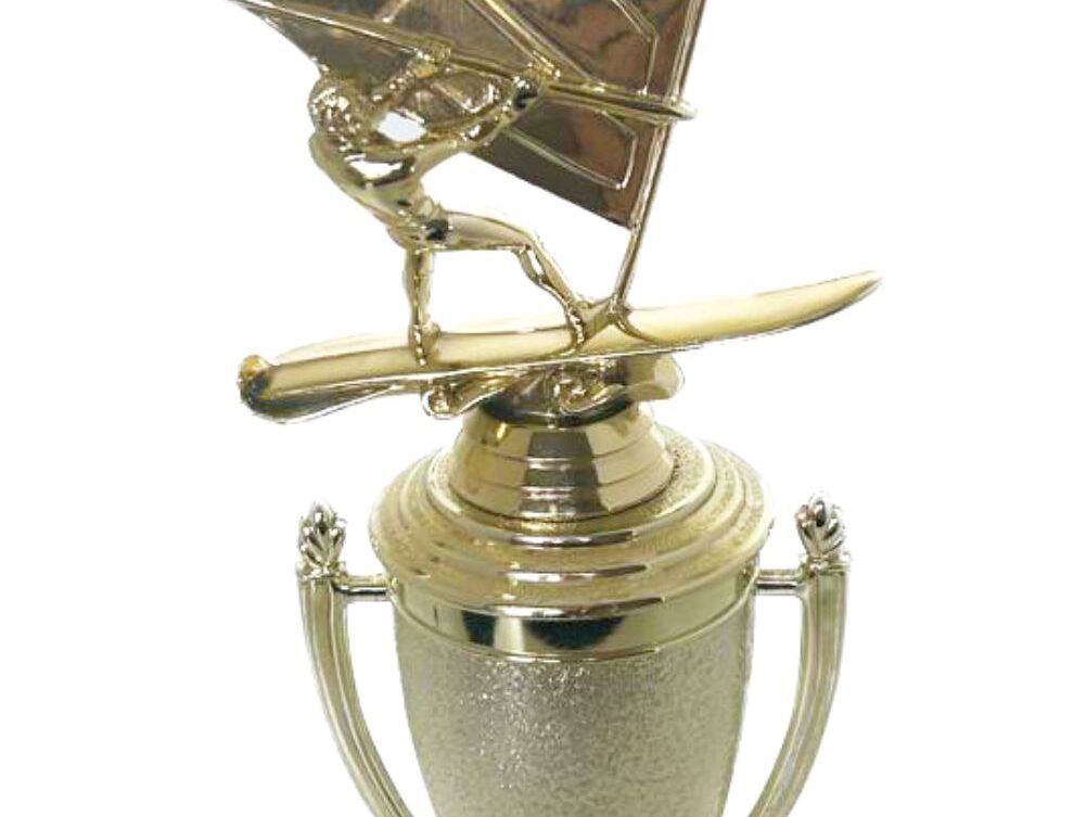 Wind Surfer Trophy 390mm