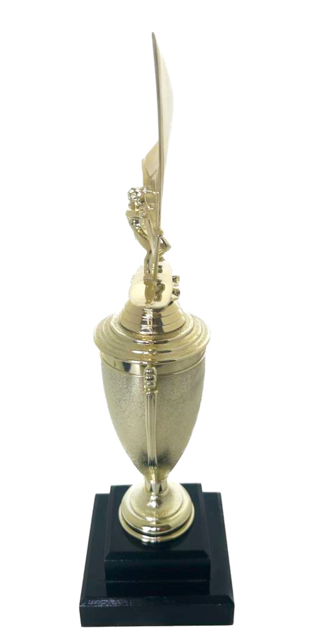 Wind Surfer Trophy 390mm