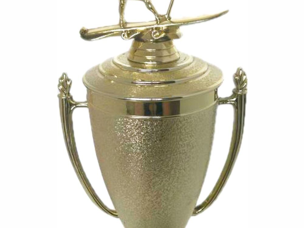 Wind Surfer Trophy 430mm