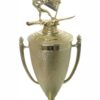 Wind Surfer Trophy 430mm
