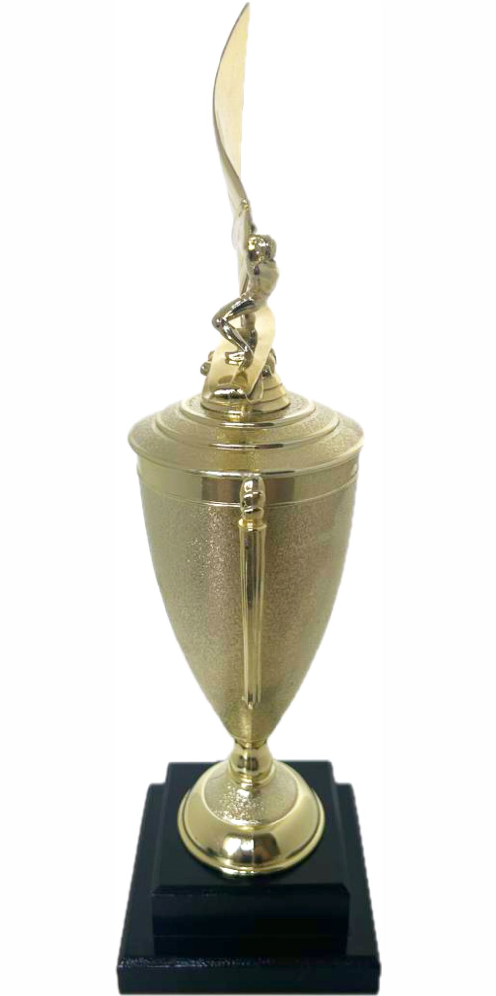 Wind Surfer Trophy 430mm