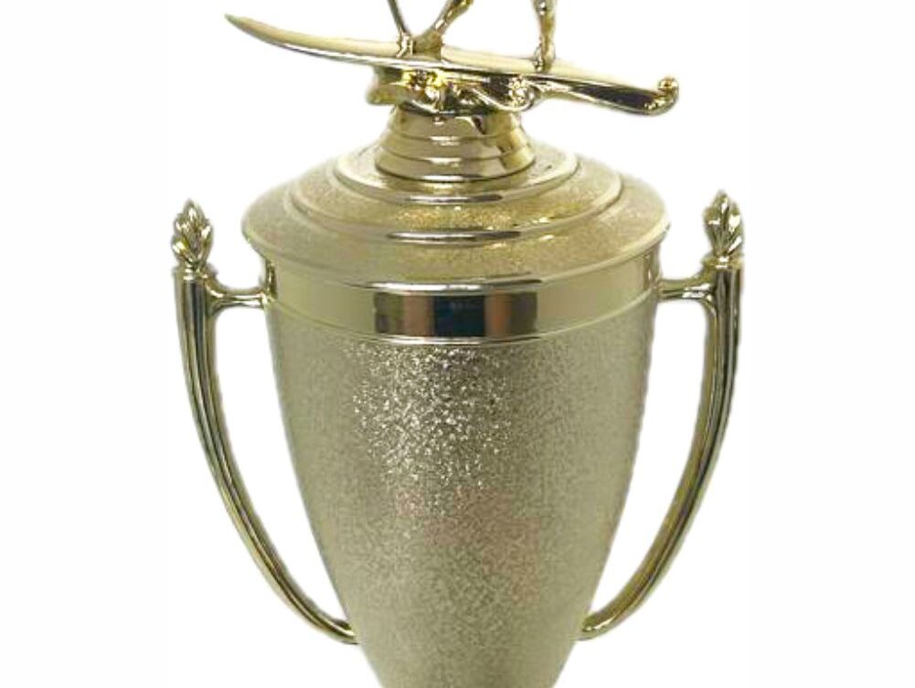 Wind Surfer Trophy 430mm