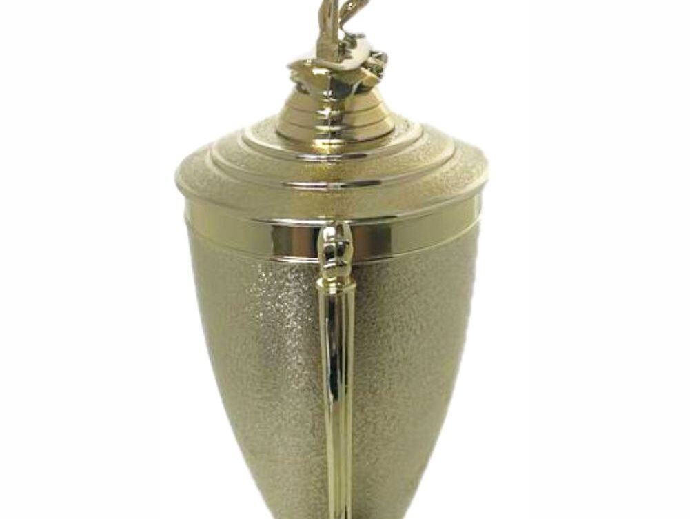 Wind Surfer Trophy 430mm