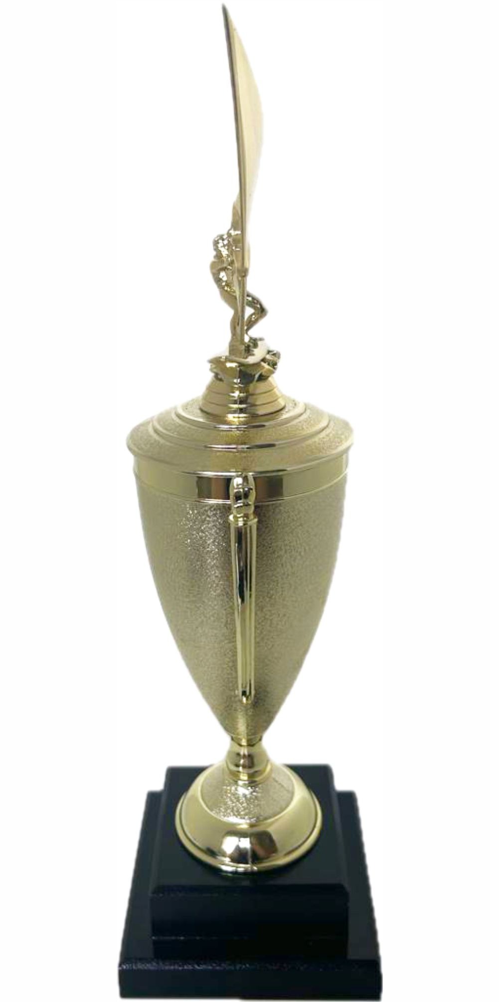Wind Surfer Trophy 430mm