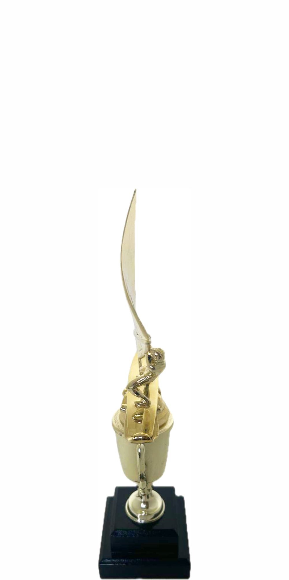 Wind Surfer Trophy 290mm