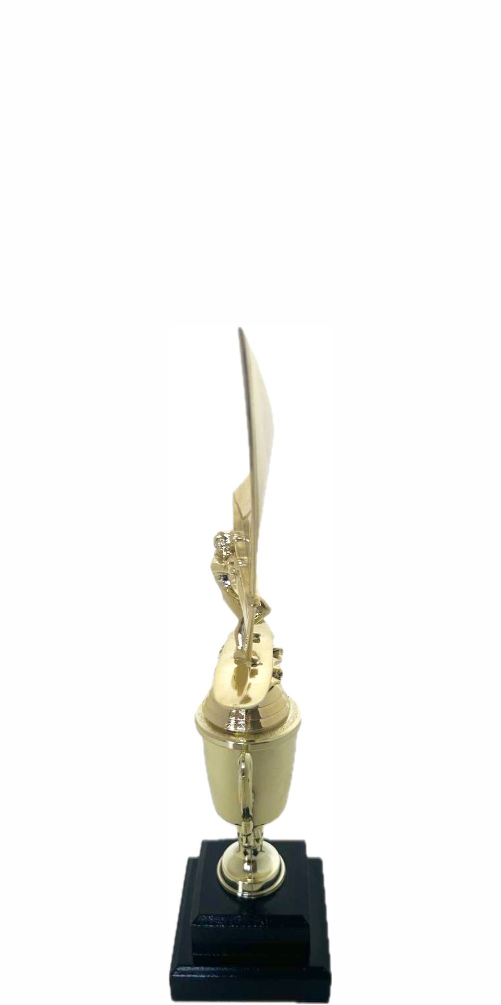 Wind Surfer Trophy 290mm