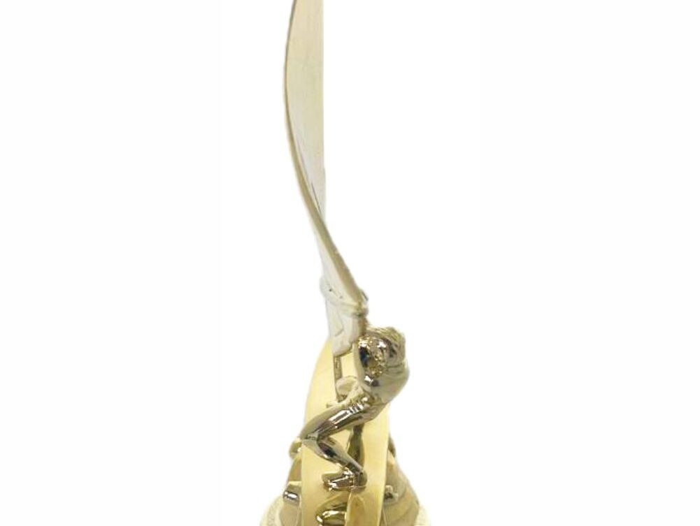 Wind Surfer Trophy 310mm