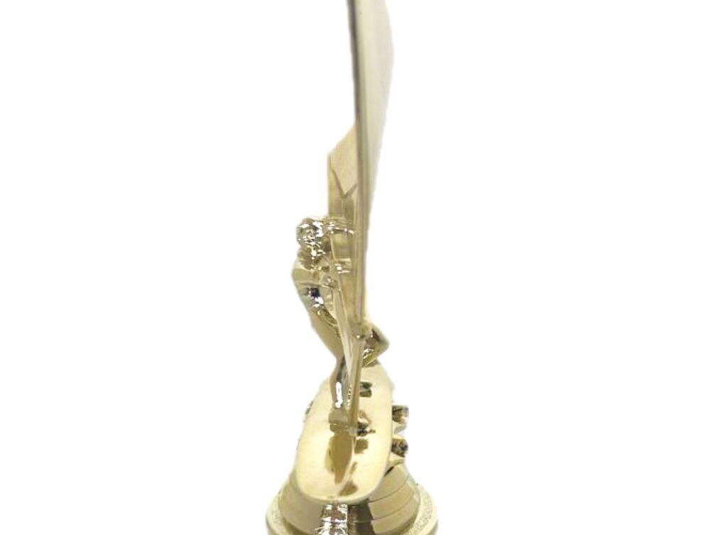 Wind Surfer Trophy 310mm