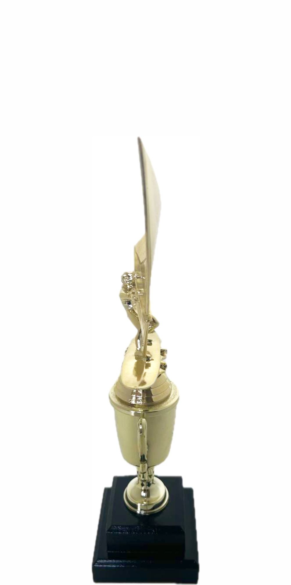 Wind Surfer Trophy 310mm