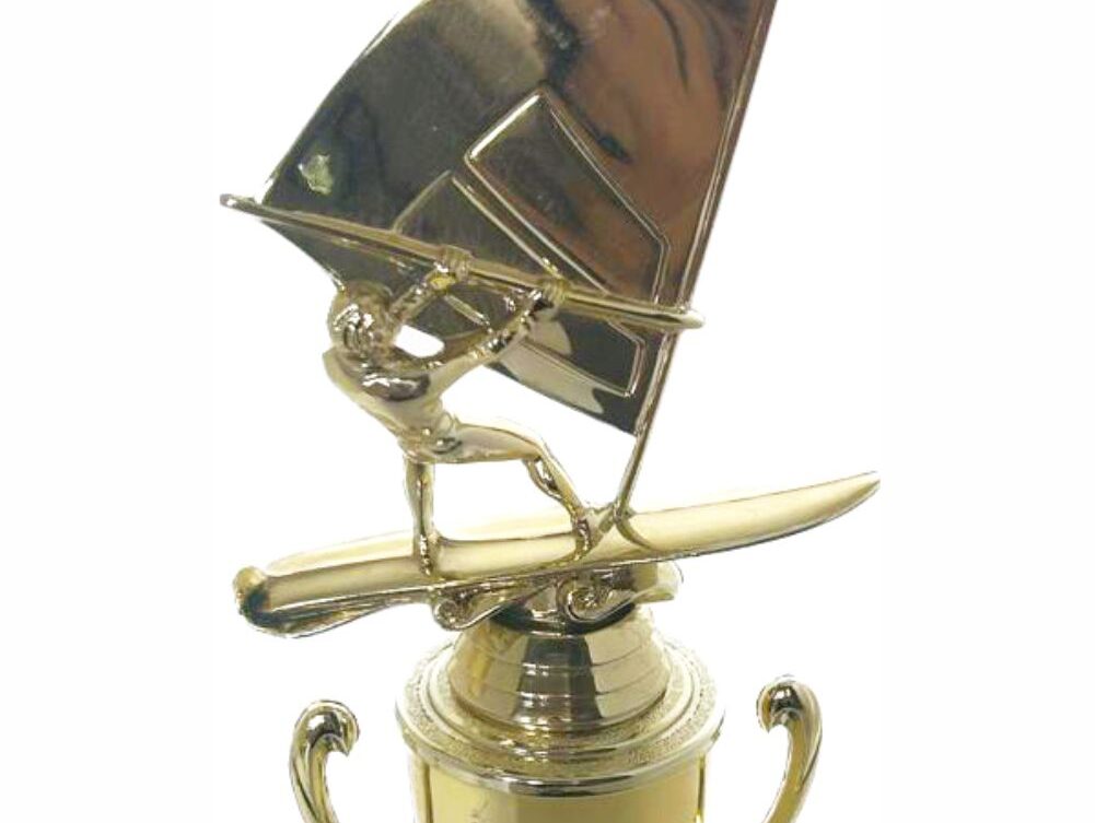 Wind Surfer Trophy 350mm