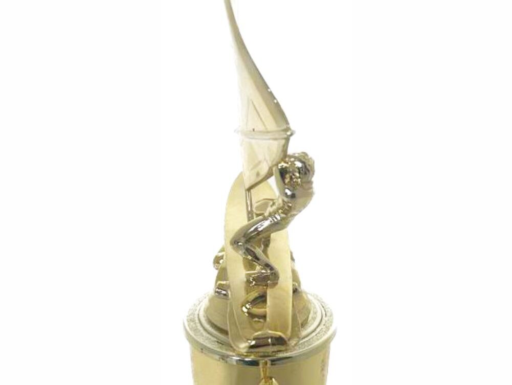 Wind Surfer Trophy 350mm