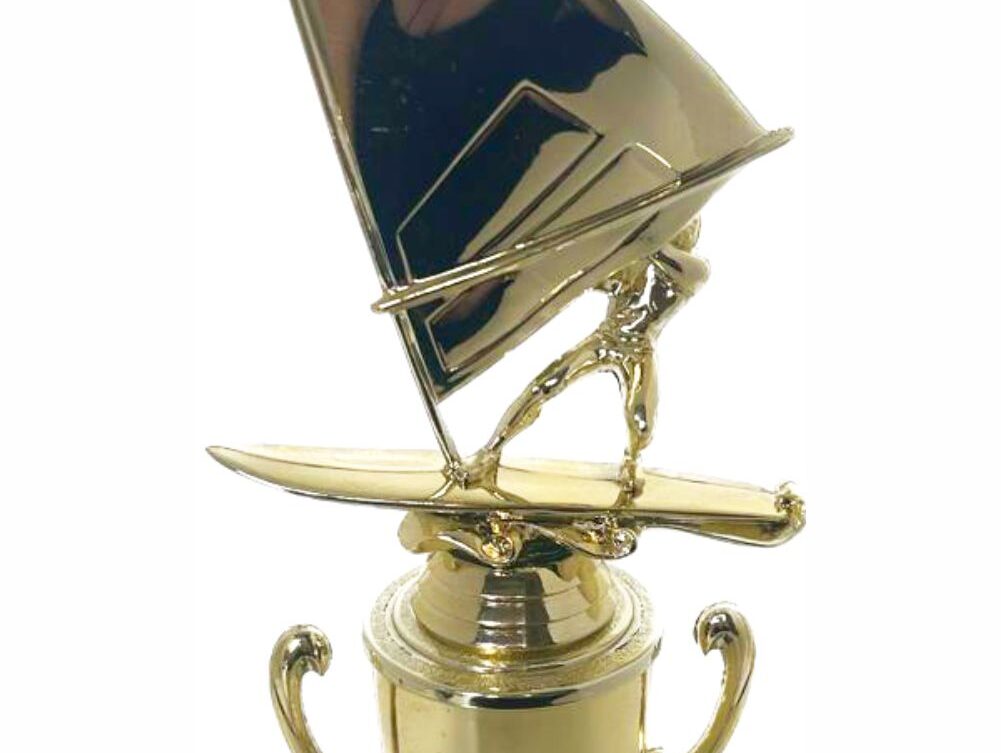 Wind Surfer Trophy 350mm