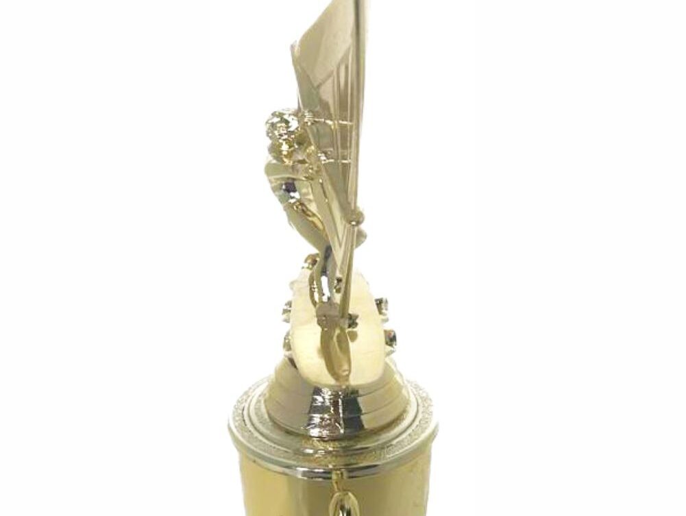 Wind Surfer Trophy 350mm