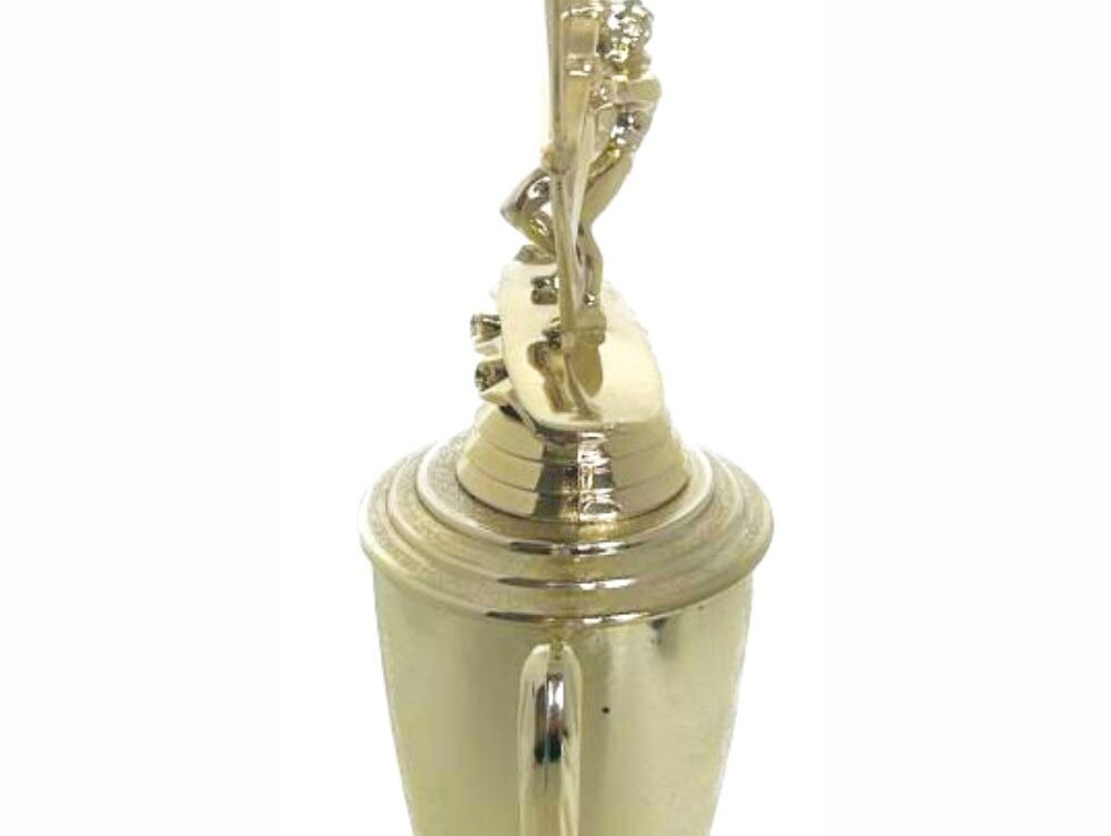 Wind Surfer Trophy 390mm