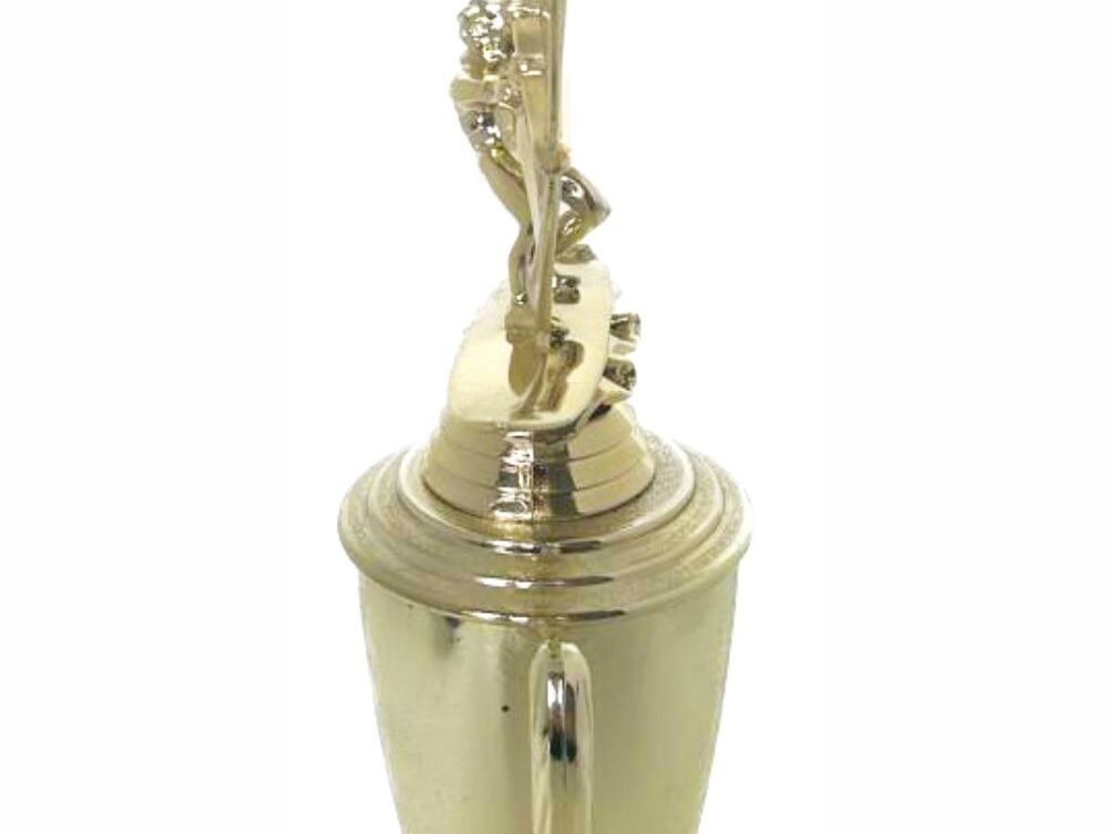 Wind Surfer Trophy 390mm