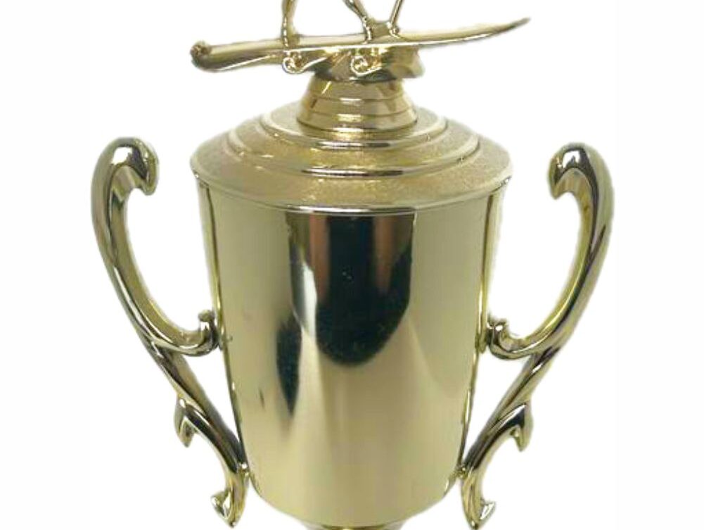 Wind Surfer Trophy 430mm