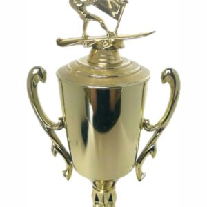 Wind Surfer Trophy 430mm
