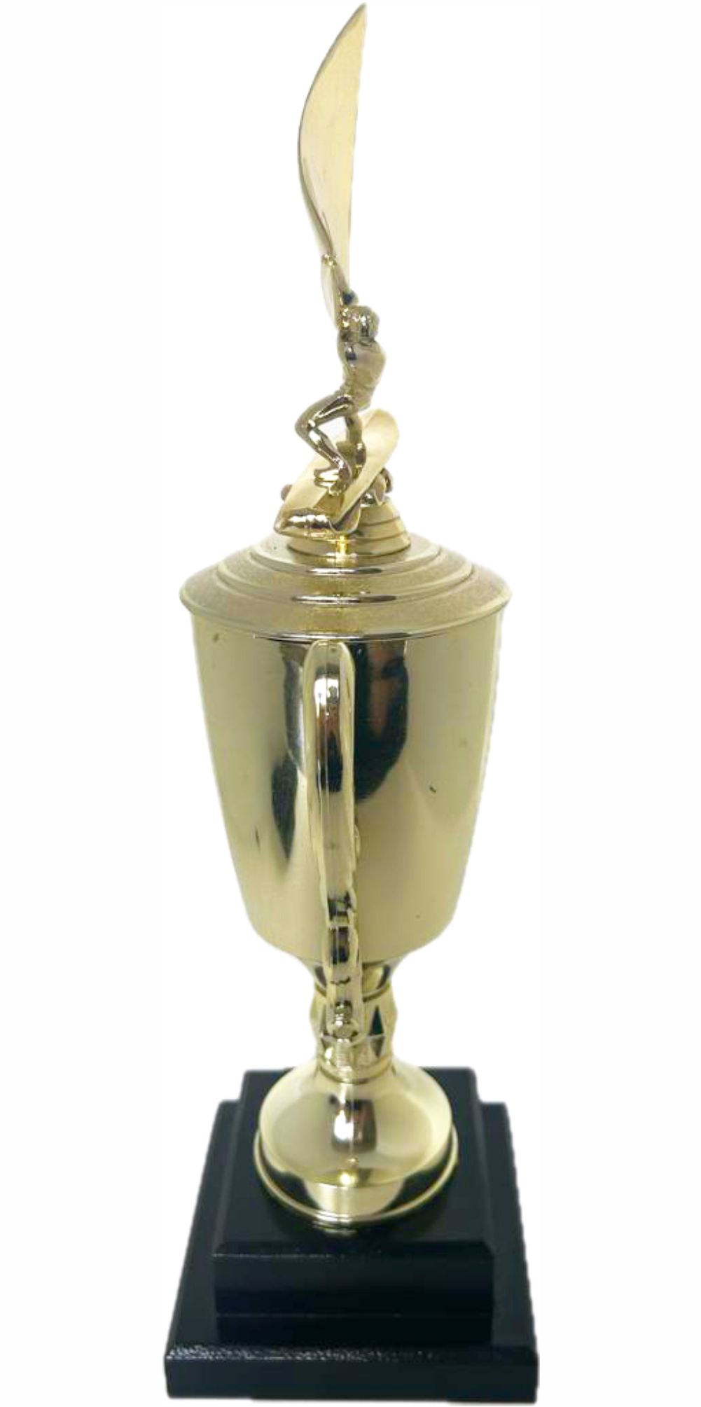 Wind Surfer Trophy 430mm