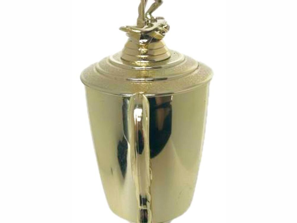 Wind Surfer Trophy 430mm